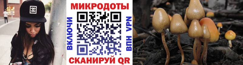 Псилоцибиновые грибы мицелий  Юрга 