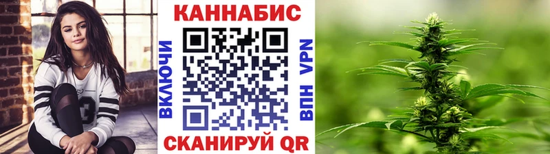 Конопля сатива  Юрга 